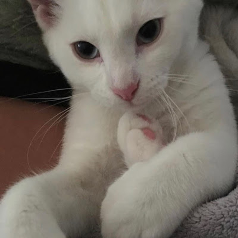 Meet your Posher, Natalia